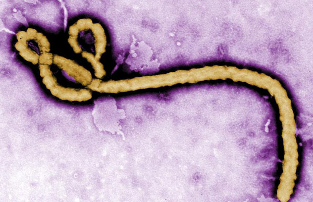 Le virus d’Ebola a été découverte en RDC, pour la première fois, en 1976. 
