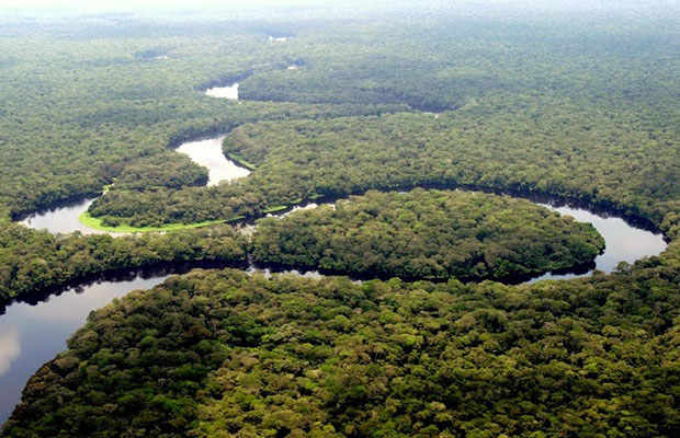 Une rivière dans le parc national de la Salonga, forêt équatoriale. 