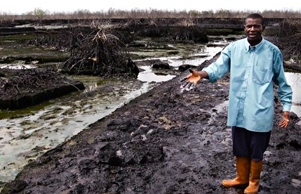Un fermier nigerian montrant l’étendue des dégâts causés par Shell à Bodo.