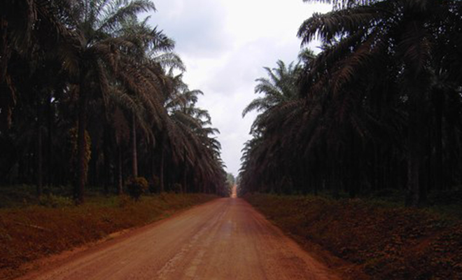 Une route réhabilitée dans la province Orientale.