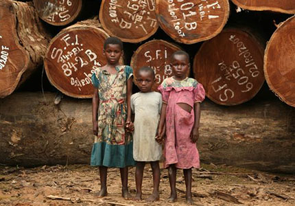 Le Bas-Congo à la recherche de l’équilibre écologique - Business et ...